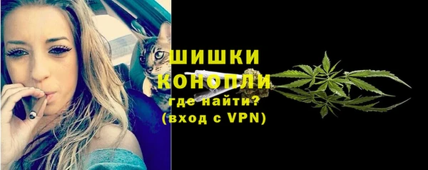 прущие грибы Переславль-Залесский