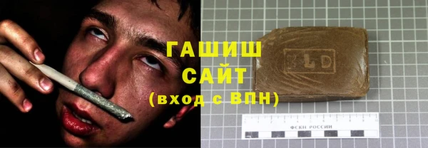 прущие грибы Переславль-Залесский
