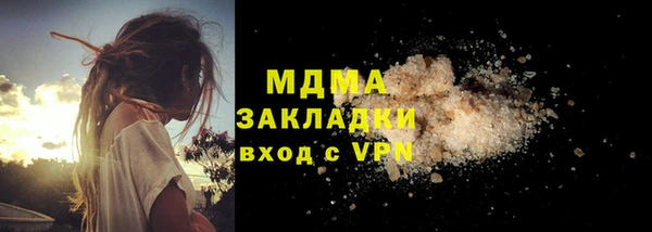прущие грибы Переславль-Залесский