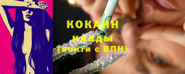 хмурый Пестово