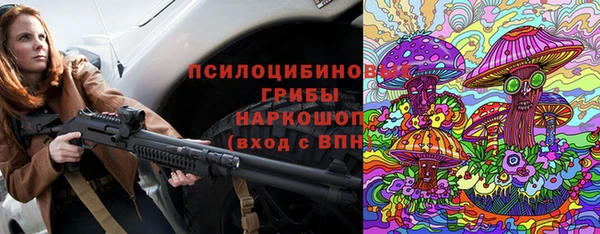 спиды Покачи