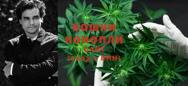 ПСИЛОЦИБИНОВЫЕ ГРИБЫ Покровск