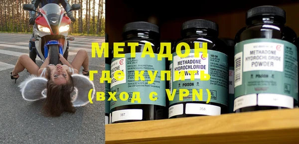 прущие грибы Переславль-Залесский