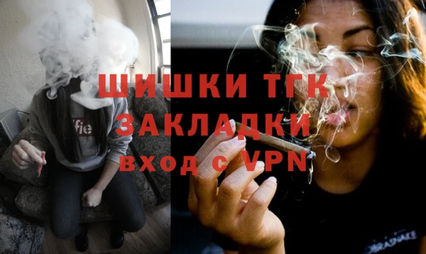 хмурый Пестово
