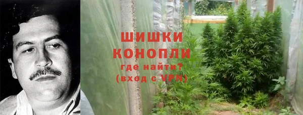 хмурый Пестово