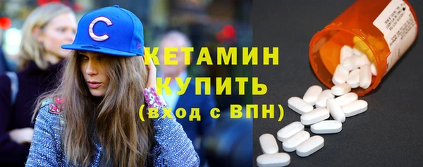 амф Снежногорск
