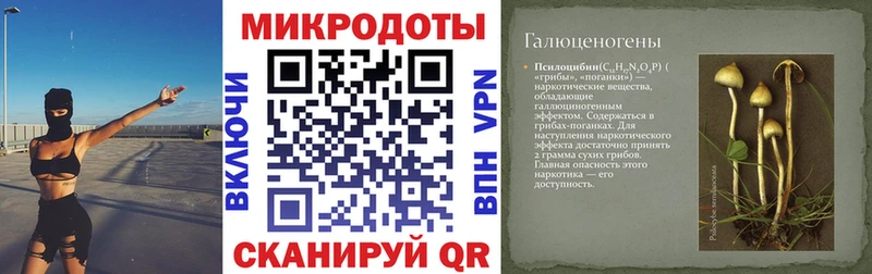 Галлюциногенные грибы Cubensis  Александровск-Сахалинский 